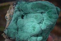 Natural Etched Malachite Specimens x 2 From Congo