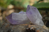 Natural Single Jacaranda Amethyst Crystals  x 24 From Mumbwa, Zambia - Toprock Gemstones and Minerals 