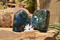 Polished Labradorite Standing Free Forms With Intense Blue & Gold Flash x 2 From Sakoany, Madagascar - TopRock