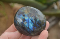 Polished Flashy Labradorite Palm Stones  x 12 From Tulear, Madagascar - TopRock