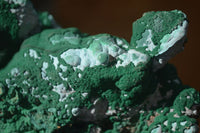 Natural Groovy Botryoidal Malachite With Chrysocolla Specimens x 2 From Kolwezi, Congo