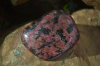 Polished Red Rhodonite Free Forms  x 6 From Zimbabwe - Toprock Gemstones and Minerals 