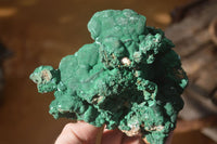 Natural Groovy Botryoidal Malachite With Chrysocolla Specimens x 2 From Kolwezi, Congo