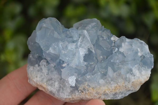 Natural Blue Celestite Crystal Specimens  x 6 From Madagascar - Toprock Gemstones and Minerals 