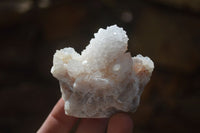 Natural White Cactus Flower Spirit Quartz Specimens x 12 From Boekenhouthoek, South Africa