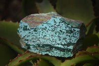 Natural Drusy Coated Chrysocolla Specimens x 3 From Kakanda, Congo