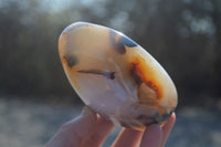 Polished Mixed Agate Standing Free Forms  x 3 From Madagascar