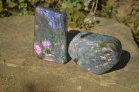 Polished Rare Purple Flash Labradorite Standing Free Forms x 2 From Tulear, Madagascar