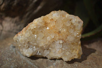 Natural Limonite Quartz Clusters x 12 From Solwezi, Zambia