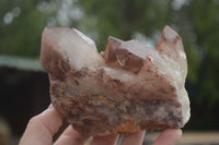 Natural Red Hematoid Quartz Specimens x 3 From Karoi, Zimbabwe - TopRock