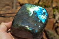 Polished Labradorite Standing Free Forms With Intense Blue & Gold Flash x 2 From Sakoany, Madagascar - TopRock