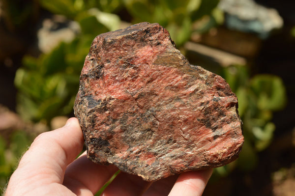 Natural Rough Pink & Black Rhodonite Specimens  x 6 From Zimbabwe - TopRock