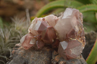 Natural Red Hematoid Quartz Specimens x 3 From Karoi, Zimbabwe - TopRock