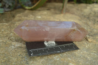 Polished Double Terminated Rose Quartz Points x 3 From Ambatondrazaka, Madagascar