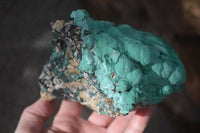 Natural Etched Malachite Specimens x 2 From Congo