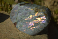 Polished Rare Purple Flash Labradorite Standing Free Forms x 2 From Tulear, Madagascar