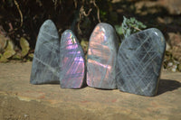 Polished Rare Purple Flash Labradorite Standing Free Forms x 4 From Tulear, Madagascar