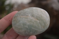 Polished Blue Amazonite Palm Stones  x 12 From Madagascar - Toprock Gemstones and Minerals 