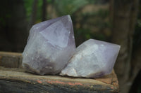 Natural Large Single Jacaranda Amethyst Crystals  x 3 From Mumbwa, Zambia - Toprock Gemstones and Minerals 