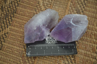 Natural Jacaranda Amethyst Crystals  x 12 From Mumbwa, Zambia - Toprock Gemstones and Minerals 