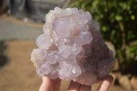 Natural Spirit Amethyst Quartz Clusters x 2 From Boekenhouthoek, South Africa