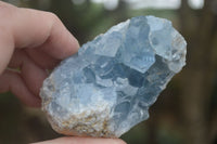 Natural Blue Celestite Crystal Specimens  x 3 From Sakoany, Madagascar - Toprock Gemstones and Minerals 