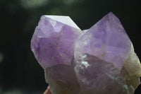 Natural Jacaranda Amethyst Clusters  x 3 From Mumbwa, Zambia - Toprock Gemstones and Minerals 