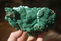 Natural Groovy Botryoidal Malachite With Chrysocolla Specimens x 2 From Kolwezi, Congo