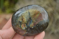 Polished Flashy Labradorite Palm Stones  x 12 From Tulear, Madagascar - TopRock