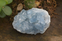 Natural Blue Celestite Crystal Specimens  x 6 From Madagascar - Toprock Gemstones and Minerals 