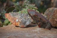 Natural Rough Bloodstone Cobbed Specimens  x 12 From Swaziland