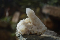 Natural White Cactus Flower Spirit Quartz Specimens x 12 From Boekenhouthoek, South Africa