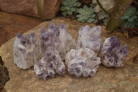 Natural Sugar Amethyst Clusters  x 6 From Solwezi, Zambia