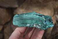 Natural Etched Malachite Specimens x 2 From Congo