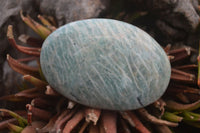 Polished Blue Amazonite Palm Stones  x 12 From Madagascar - Toprock Gemstones and Minerals 