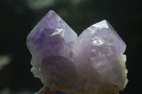 Natural Jacaranda Amethyst Clusters  x 3 From Mumbwa, Zambia - Toprock Gemstones and Minerals 