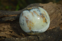 Polished Extra Large Dendritic Opal Palm Stones  x 6 From Madagascar - Toprock Gemstones and Minerals 