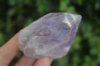 Natural Jacaranda Amethyst Crystals  x 12 From Mumbwa, Zambia - Toprock Gemstones and Minerals 