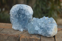 Natural Blue Celestite Crystal Specimens  x 3 From Sakoany, Madagascar - Toprock Gemstones and Minerals 