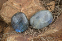 Polished Flashy Labradorite Palm Stones  x 12 From Tulear, Madagascar - TopRock