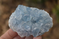 Natural Blue Celestite Crystal Specimens  x 6 From Madagascar - Toprock Gemstones and Minerals 