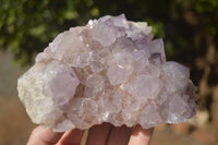 Natural Spirit Amethyst Quartz Clusters x 2 From Boekenhouthoek, South Africa