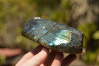 Polished Blue & Gold Labradorite Standing Free Forms  x 2 From Tulear, Madagascar - TopRock