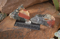 Natural Rough Bloodstone Cobbed Specimens  x 12 From Swaziland