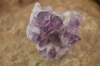 Natural Sugar Amethyst Clusters  x 6 From Solwezi, Zambia