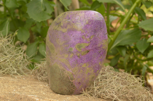 Polished Extra Large Stichtite & Serpentine Standing Free Form x 1 From Barberton, South Africa - TopRock