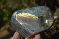 Polished Rare Purple Flash Labradorite Standing Free Forms x 2 From Tulear, Madagascar