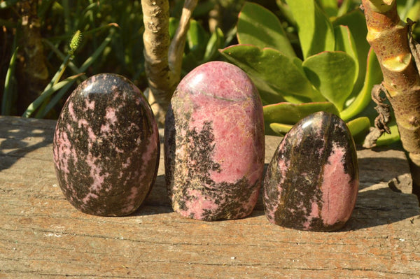 Polished Beautiful Rich Pink & Black Rhodonite Standing Free Forms  x 6 From Madagascar - TopRock