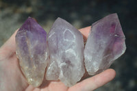 Natural Jacaranda Amethyst Crystals  x 12 From Mumbwa, Zambia - Toprock Gemstones and Minerals 