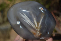 Polished Mixed Agate Standing Free Forms  x 3 From Madagascar